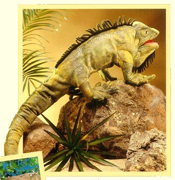 Folkmanis Stuffed Iguana