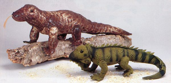 Stuffed Iguana and Stuffed Komodo Dragon