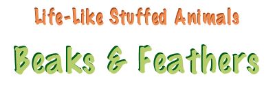 Beaks & Feathers - Stuffed Birds from Stuffed Ark