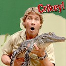 Steve Irwin