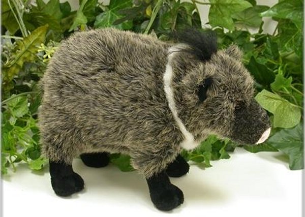 Wishpets Plush Javelina Stuffed Animal