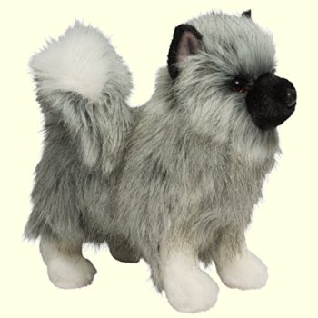 Douglas Umbra Keeshond