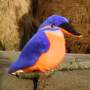 stuffed kingfisher