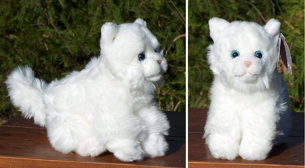 white kitten stuffed animal