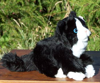 "Tux" Plush Black and White Kitten