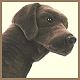 Stuffed Plush Life Size Chocolate Lab