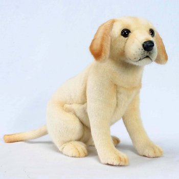 lab stuffed animal