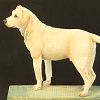 Yellow Lab Sculpture