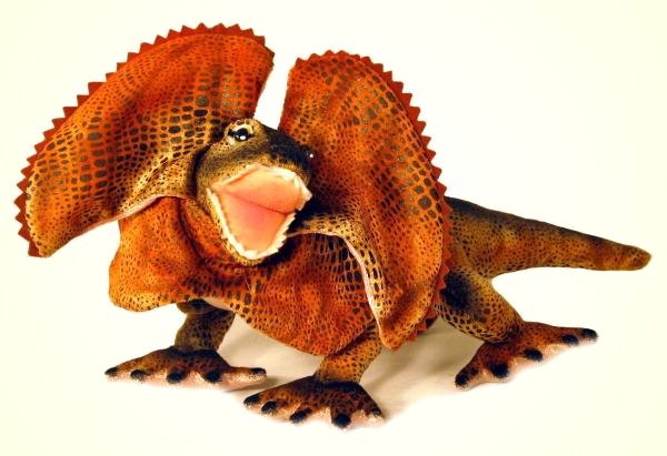 sand stuffed lizard