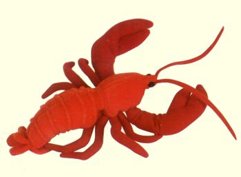 Fiesta Stuffed Lobster