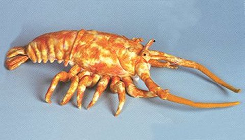 Sunny Stuffed Rock Lobster