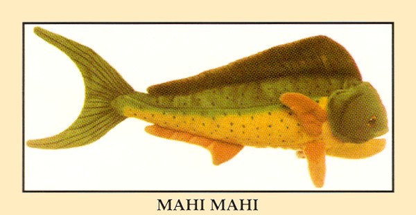 Stuffed Mahi Mahi