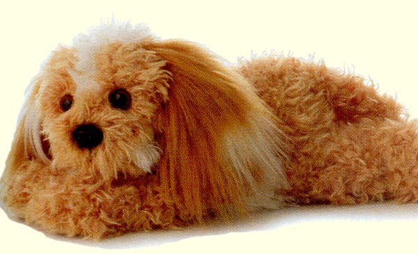 Aurora Lifelike Stuffed Plush Maltipoo