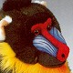 Leosco Stuffed Plush Mandrill Baboon