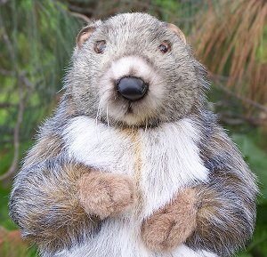 Hansa Stuffed Plush Marmot