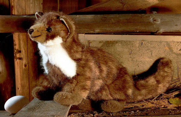 Kosen Stuffed Plush Beech Marten