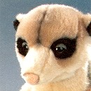 Stuffed Plush Meerkat