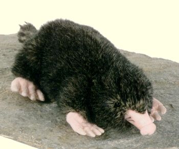 Fiesta Stuffed Mole