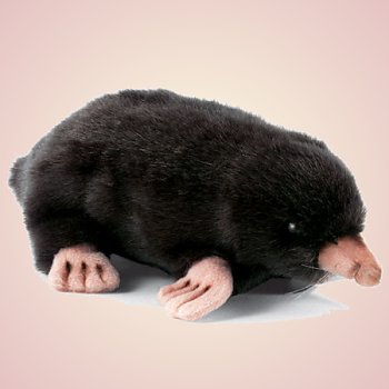 mole plush toy
