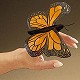 Stuffed Butterfly
