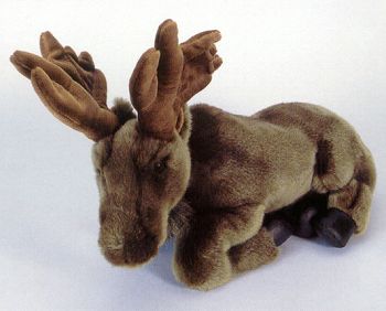 Sitting Stuffed Moose