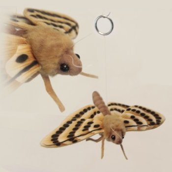 moth plush toy