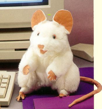 little stuffed mouse