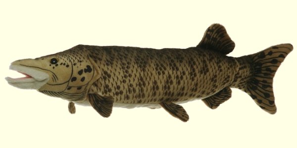 Cabin Critters Stuffed Plush Muskellunge