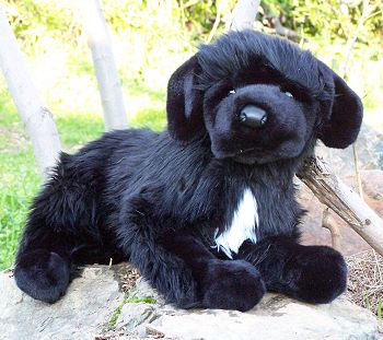 Stuffed Newfoundland