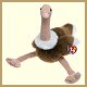 Stuffed Ostrich