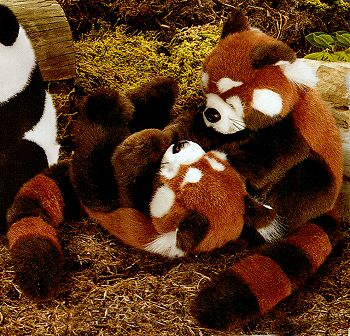 Playing Red Pandas from Wild Republic