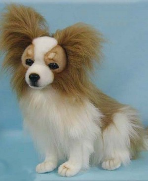 Hansa Beige Papillon