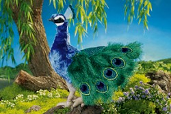peacock stuffed animal