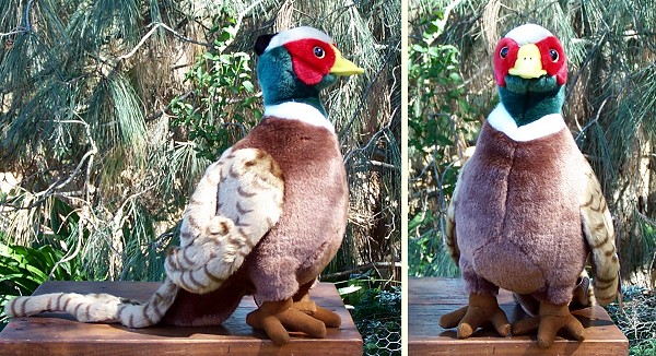 pheasant cuddly toy