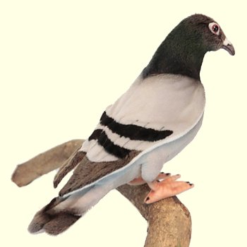 stuffed pigeon toy