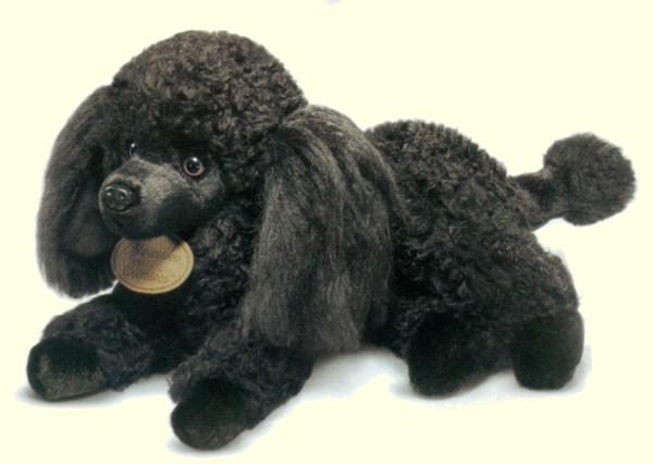 black toy poodle stuffed animal
