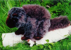 stuffed porcupine