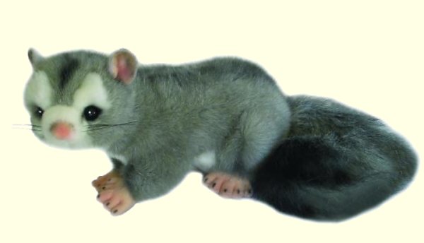 possum plush