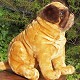 habitat for humanity plush dog