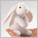 Stuffed Lop Ear Bunny