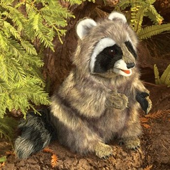 Folkmanis Plush Sitting Raccoon Hand Puppet