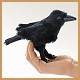 Stuffed Raven