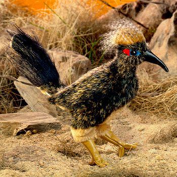stuffed roadrunner