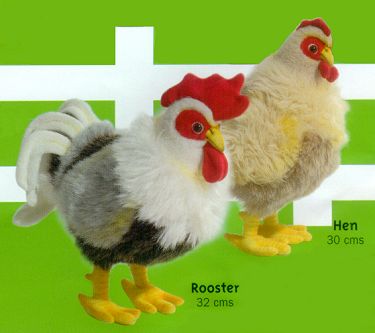 hansa rooster