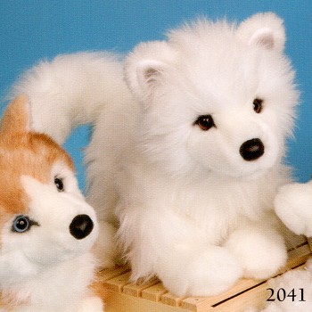 samoyed dogs