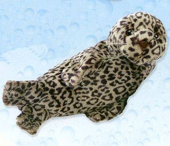 Stuffed Harbor Seal