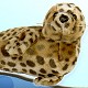 Stuffed Plush Baby Harbor Seal