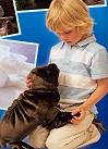 Folkmanis Sea Lion Hand Puppet