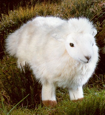 white sheep stuffed animal