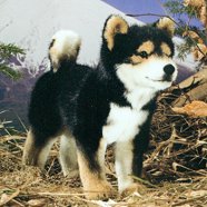 Kosen Plush Black Shiba Inu
